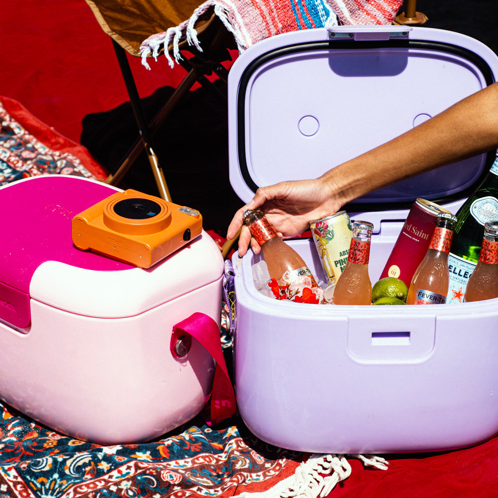 Corkcicle Chillpod Go Portable Hard Cooler