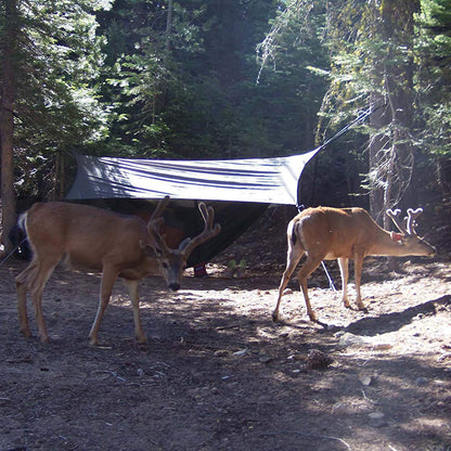  Eagles Nest Outfitters ProFly XL Rain Tarp - Navy/Grey
