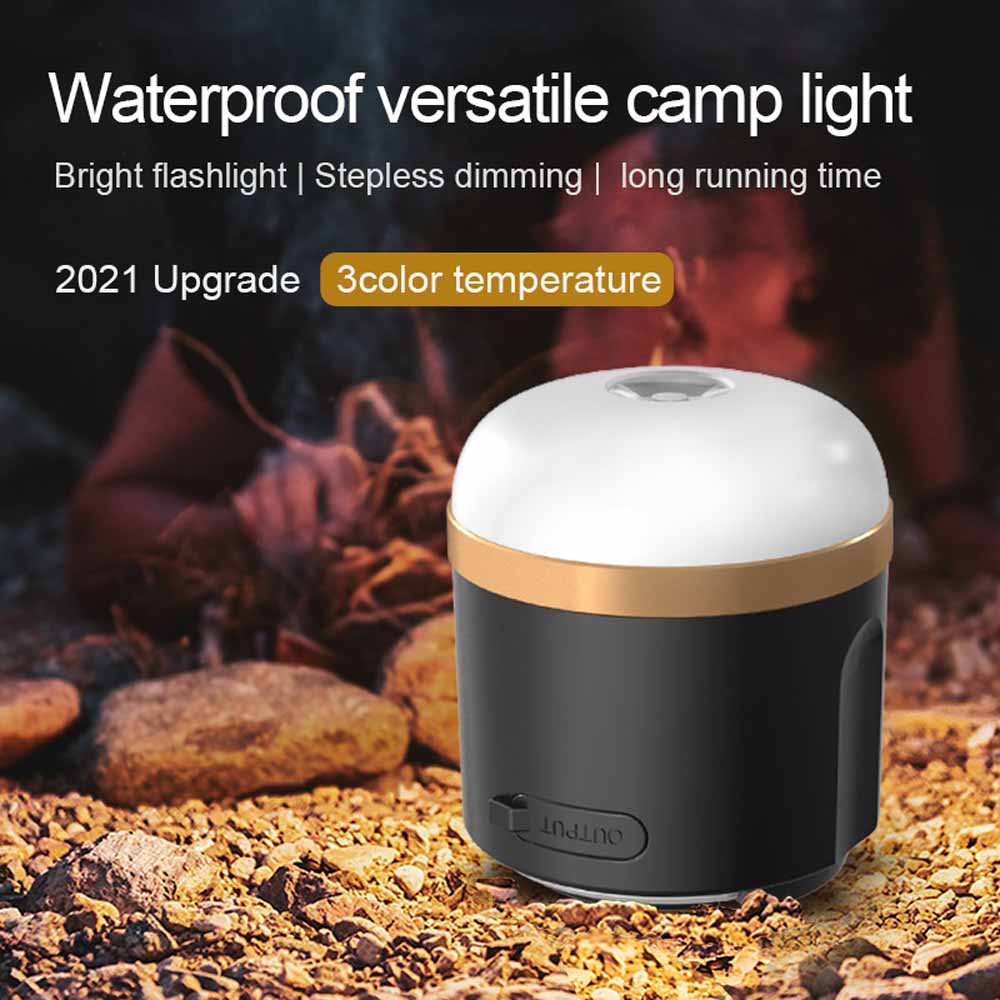 EcoFlow Camping Light