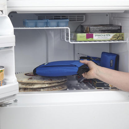  FlexiFreeze Freezable 12 Can Cooler