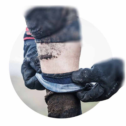  SealSkinz Mautby Waterproof Warm Weather Ankle Length Socks With Hydrostop