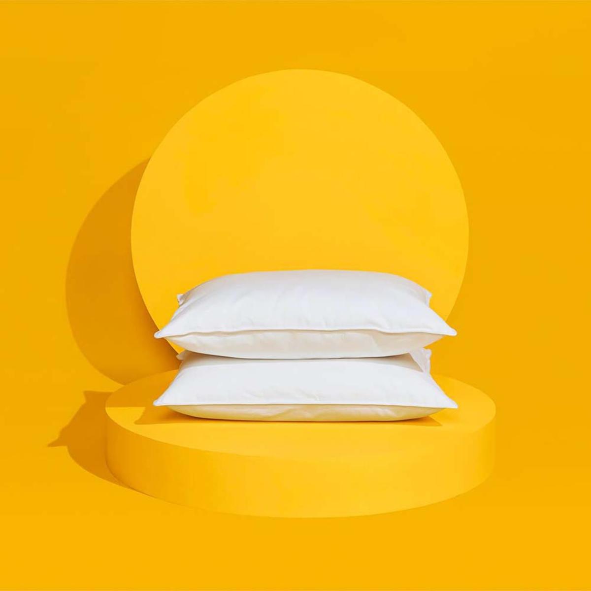  Slumber Cloudï¿½ Outlast Core Down Alternative Pillow - Standard