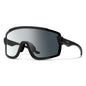  Smith Optics Wildcat Sunglasses ChromaPop Photochromic Clear To Gray - Matte Black Frame