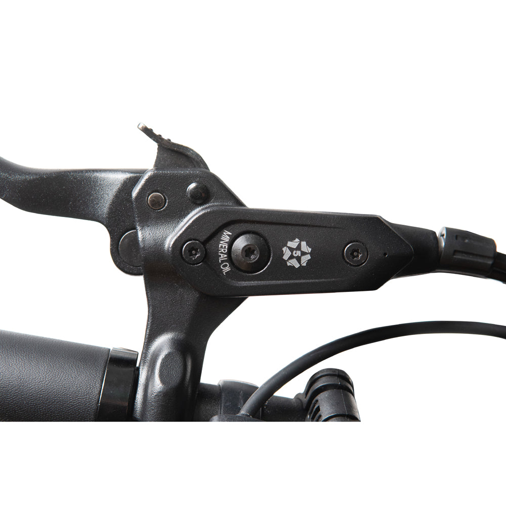  Sunrise Ebikes Shadow Electric Trike - Black