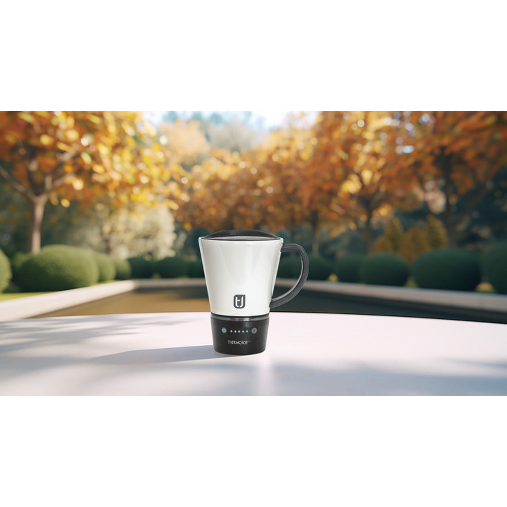  ThermoJoe Desk Mug