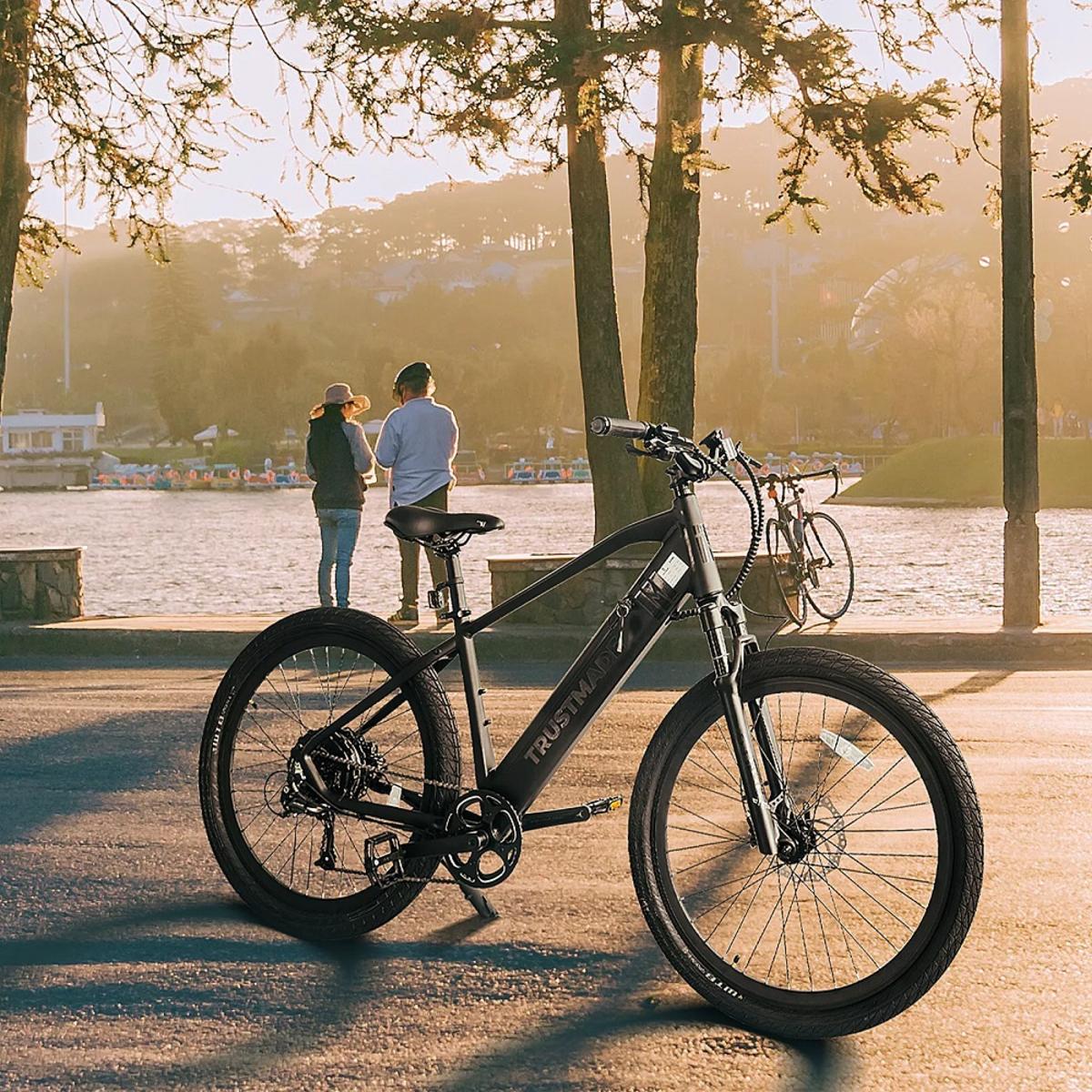  Trustmade Panther X Ebike