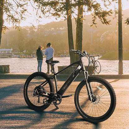  Trustmade Panther X Ebike