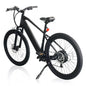  Trustmade Panther X Ebike