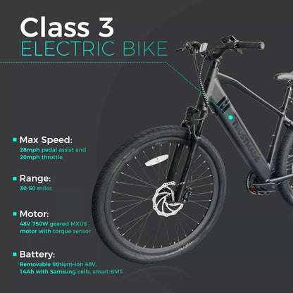  Trustmade Panther X Ebike