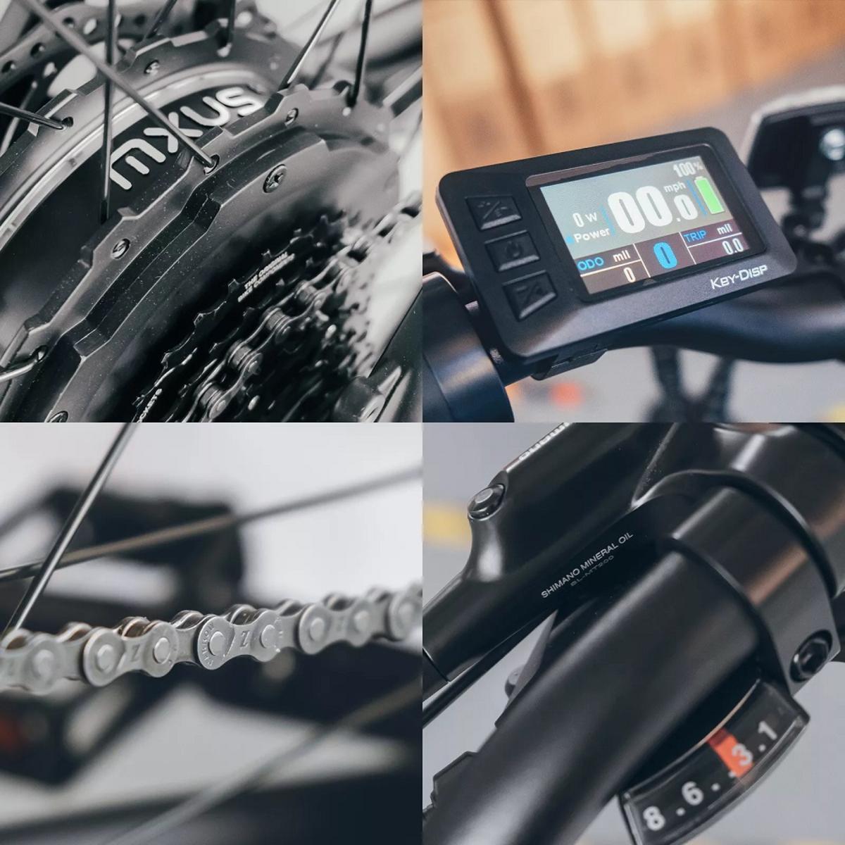  Trustmade Panther X Ebike