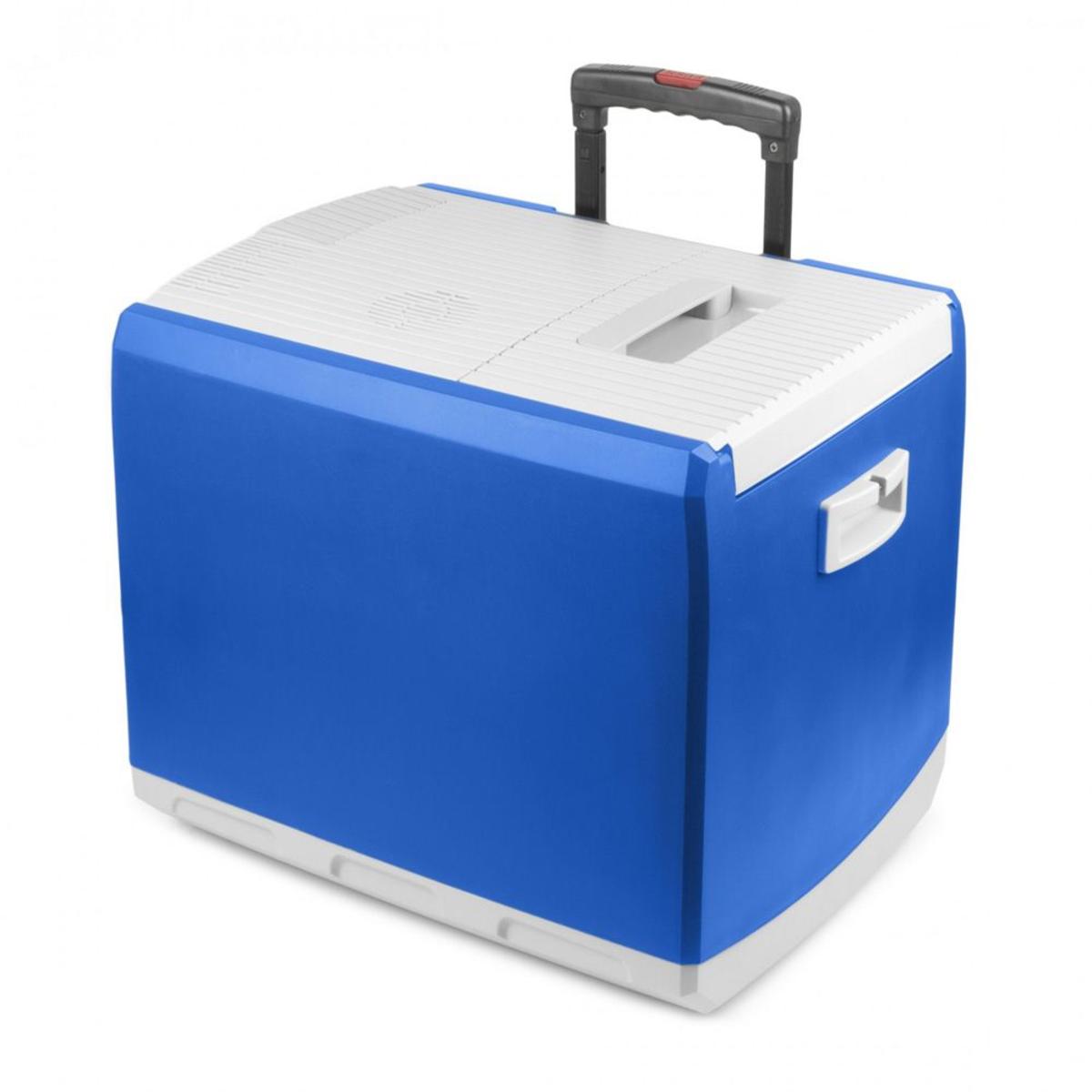  Wagan 12V Thermo-Electric 46Q Cooler/Warmer